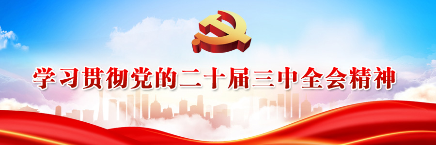 學習貫徹黨的二十屆三中全會精神